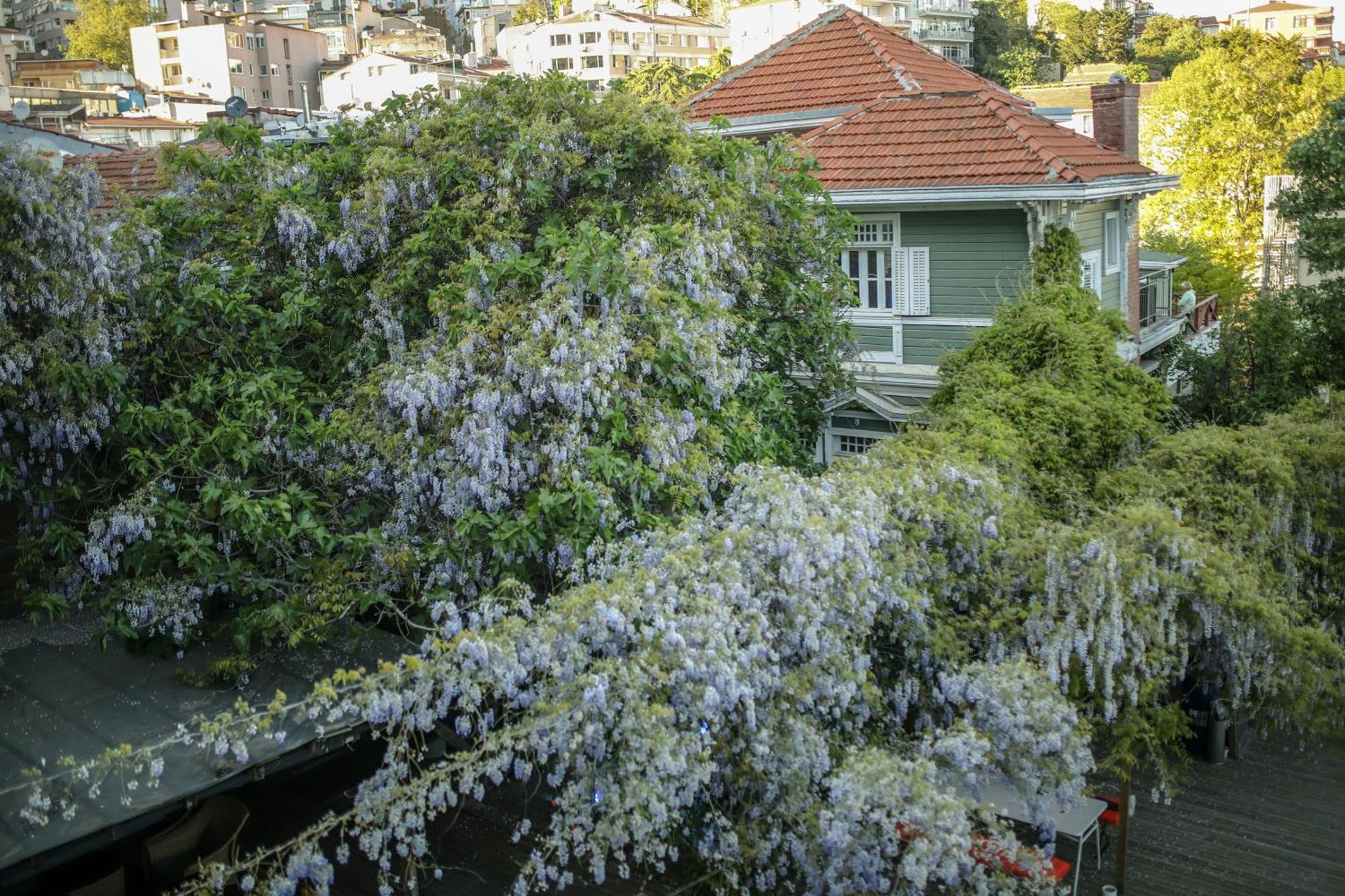 Loop Hotel Bosphorus Istanbul Luaran gambar